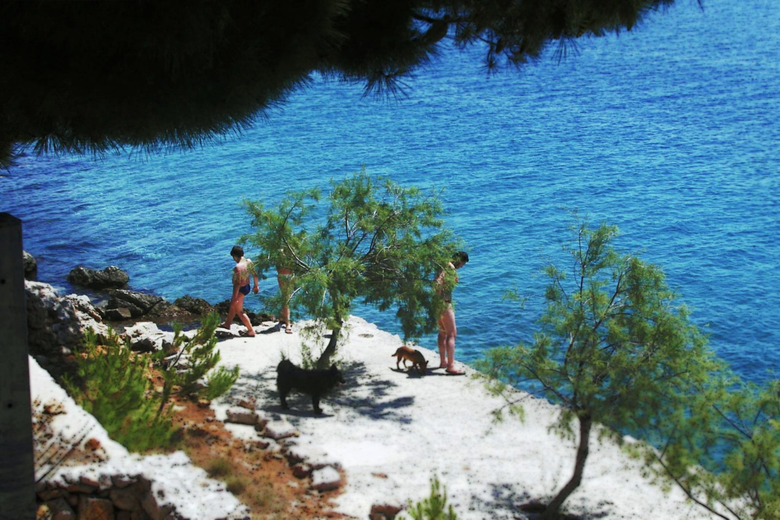 Camping PINUS - Starigrad Paklenica, Croatia