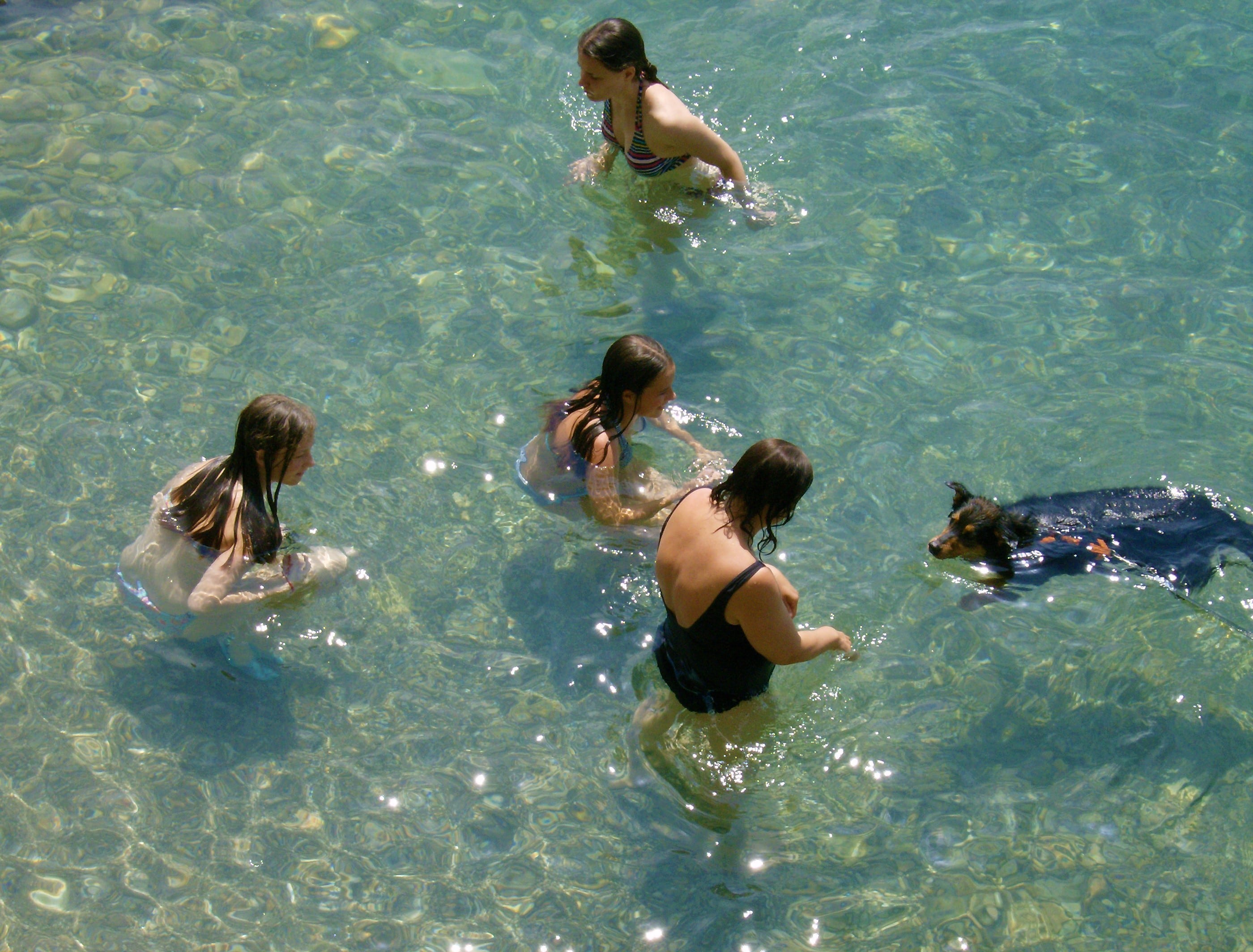 Camping PINUS - Starigrad Paklenica, Croatia