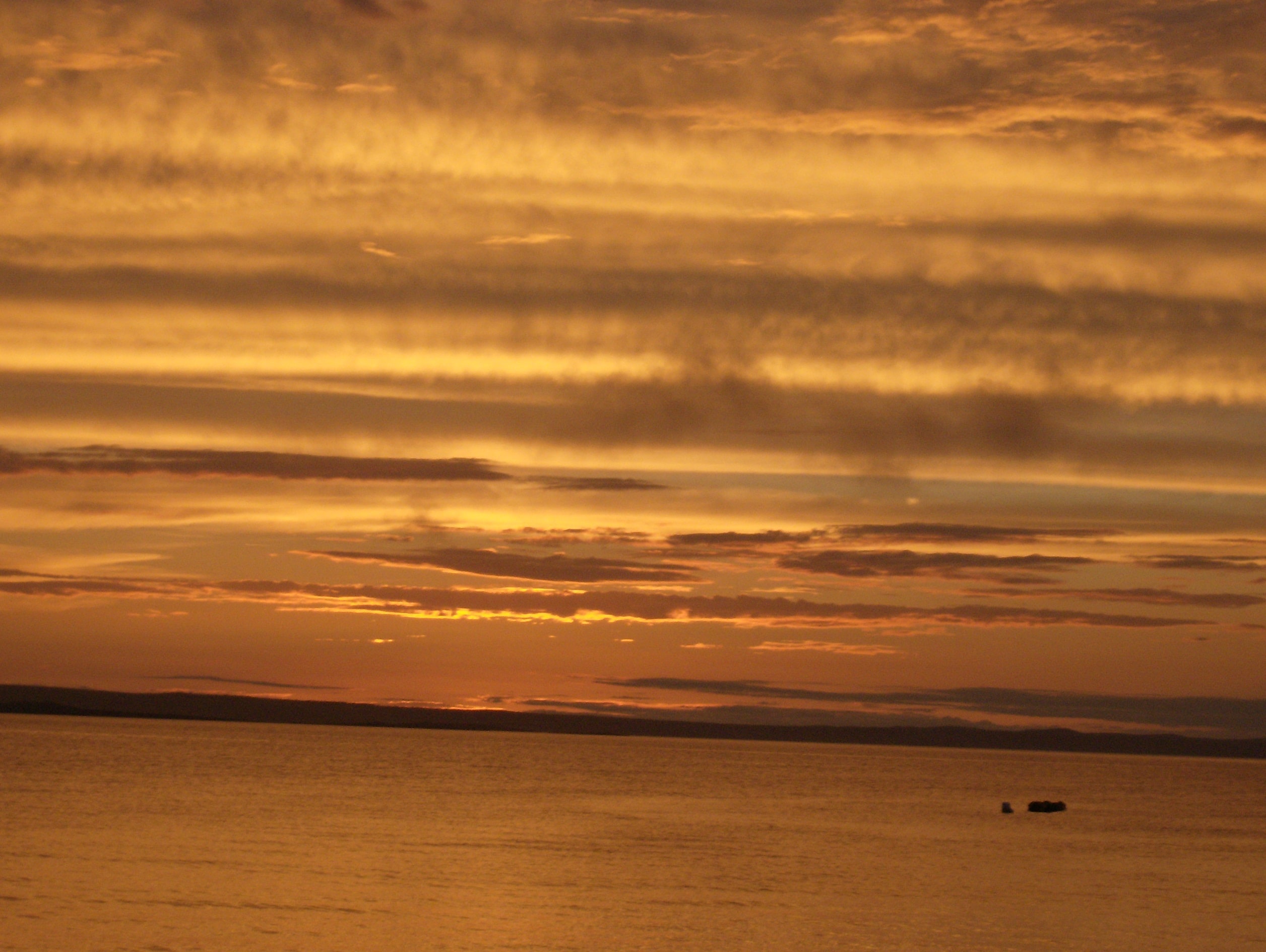 Camping PINUS - Starigrad Paklenica, Croatia